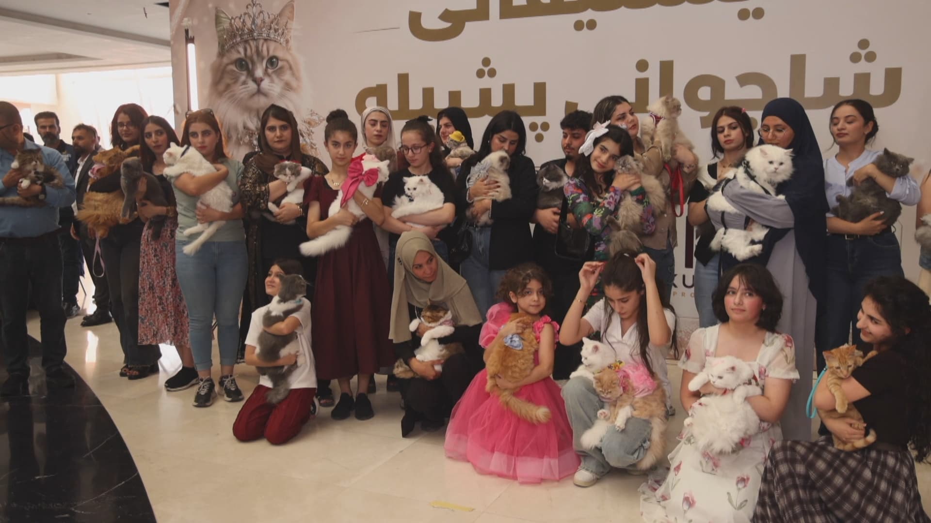 سێیەمین فێستیڤاڵی شاجوانی پشیلە لە سلێمانی بەڕێوەچوو؛ 'تەندروستترین' پشیلە دیاریکرا