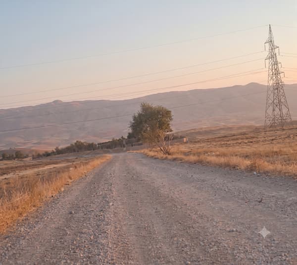 گوندی داربەڕووی عەربەت لەبەر نەبوونی رێگەوبان خەریکە چۆڵ دەبێت