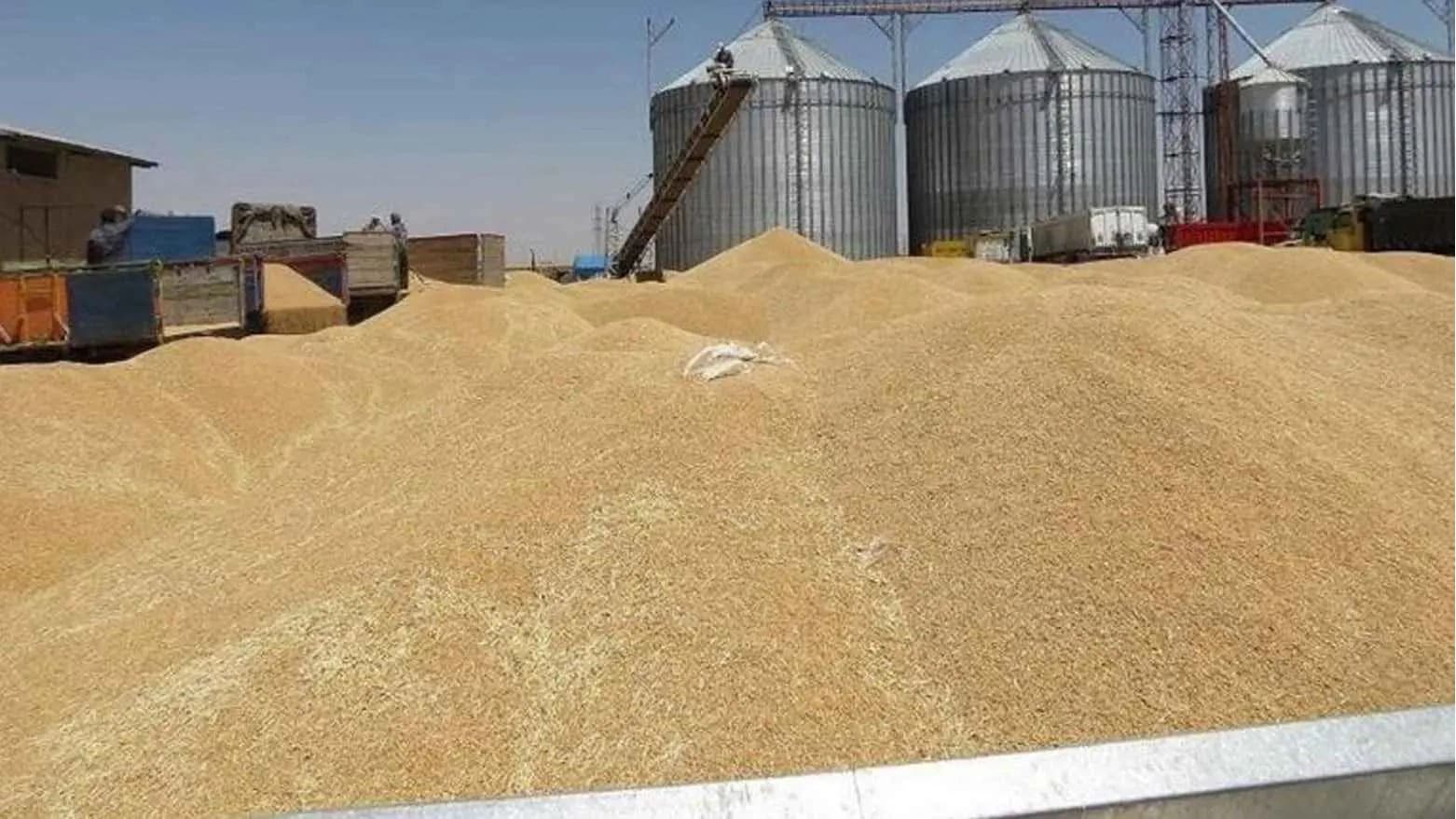 زیاتر لە 49 ملیار دینار بۆ شایستەی جووتیارانی کەرکووک گەیشت