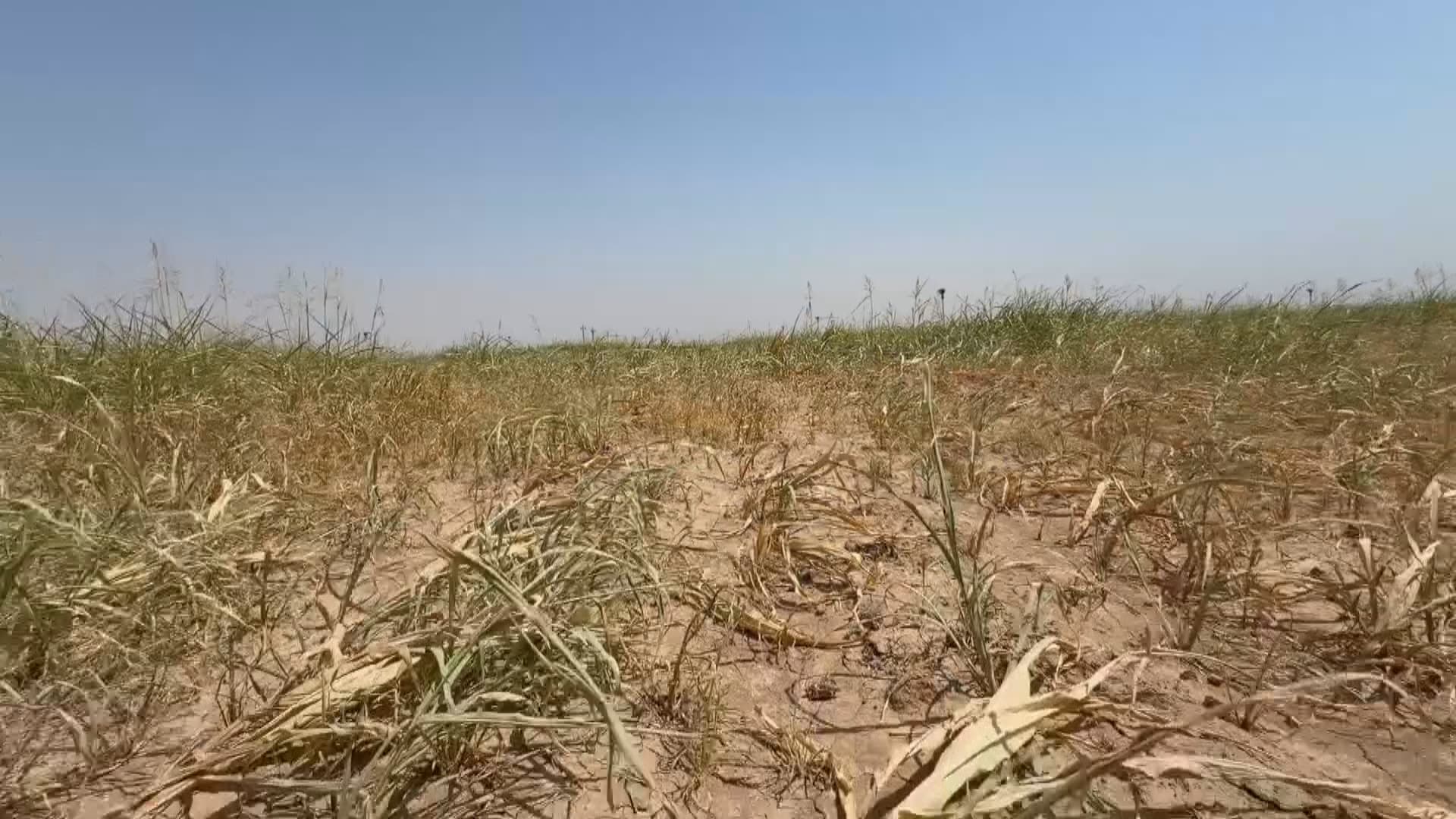بێ کارەبایی بەرهەمی 200 جووتیاری سنووری پردێی وشک کرد