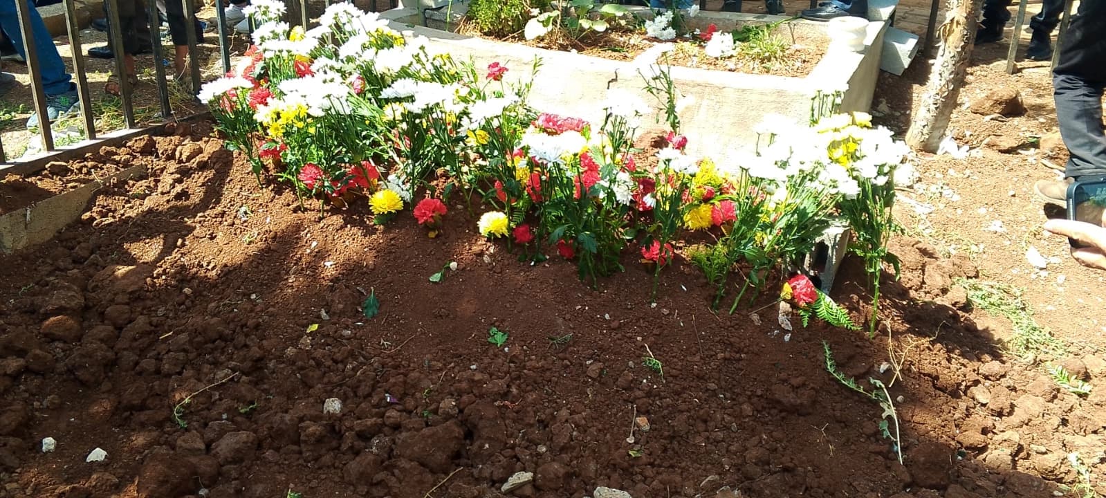 Mehdî Zana xatirê xwe ji Ameda xwe xwest