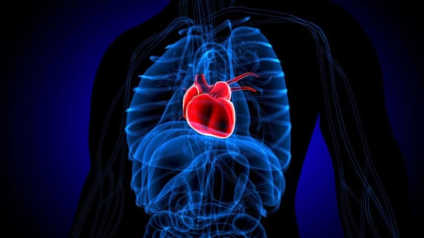 توێژینەوەیەک لە سویسرا نیشانەکانی دڵشکان و جەڵتەی دڵ لەیەکدی جیا دەکاتەوە