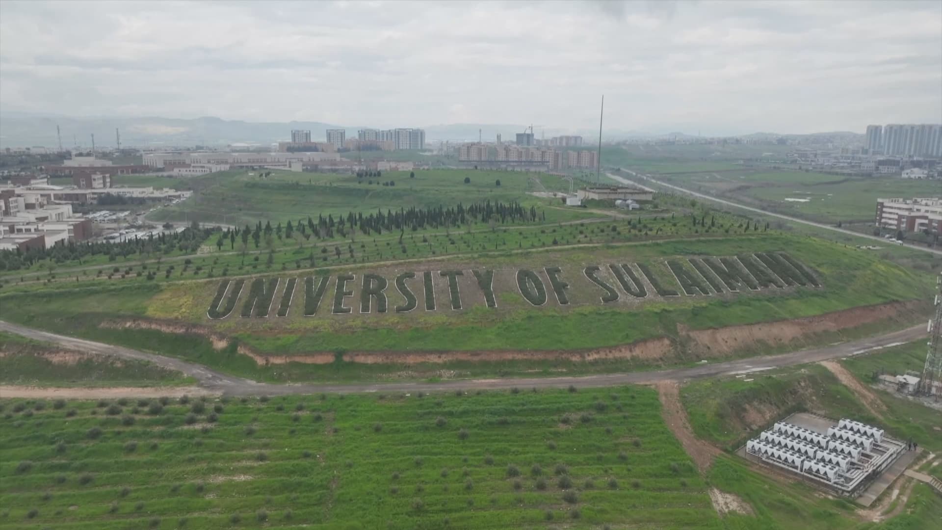 University of Sulaimani sets Guinness record for world's longest tree sentence