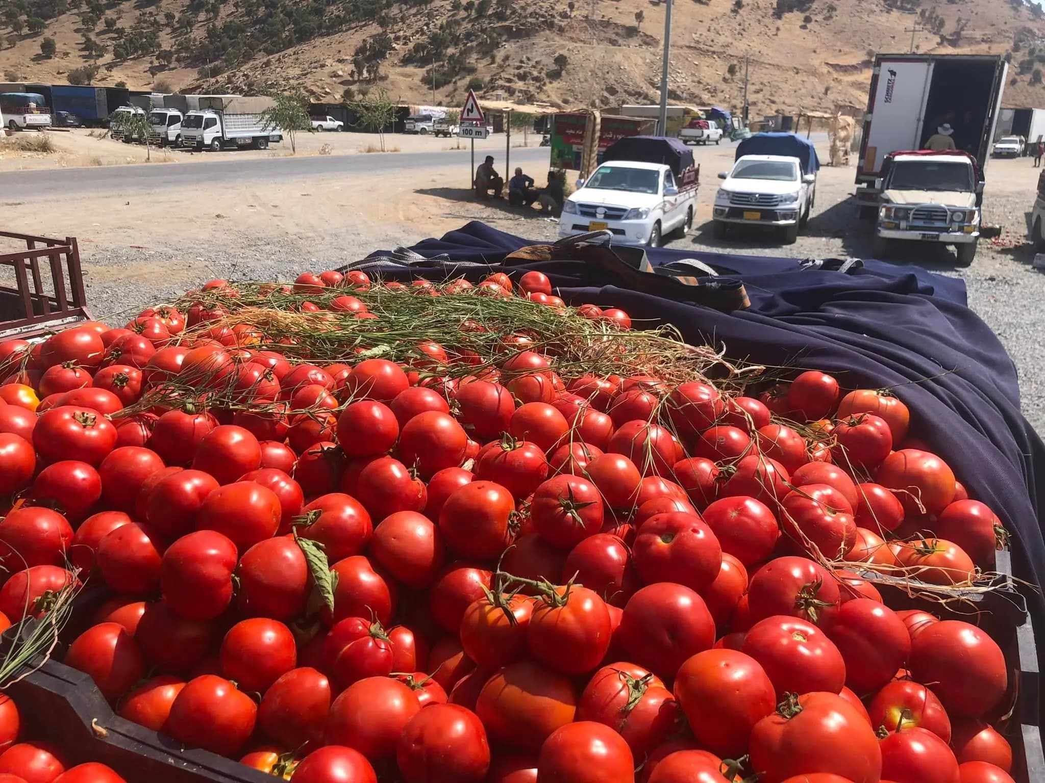 وەزیری کشتوکاڵ بۆ جووتیاران: بۆ ساخکردنەوەی بەرهەمەکانتان دەچمە بەغدا