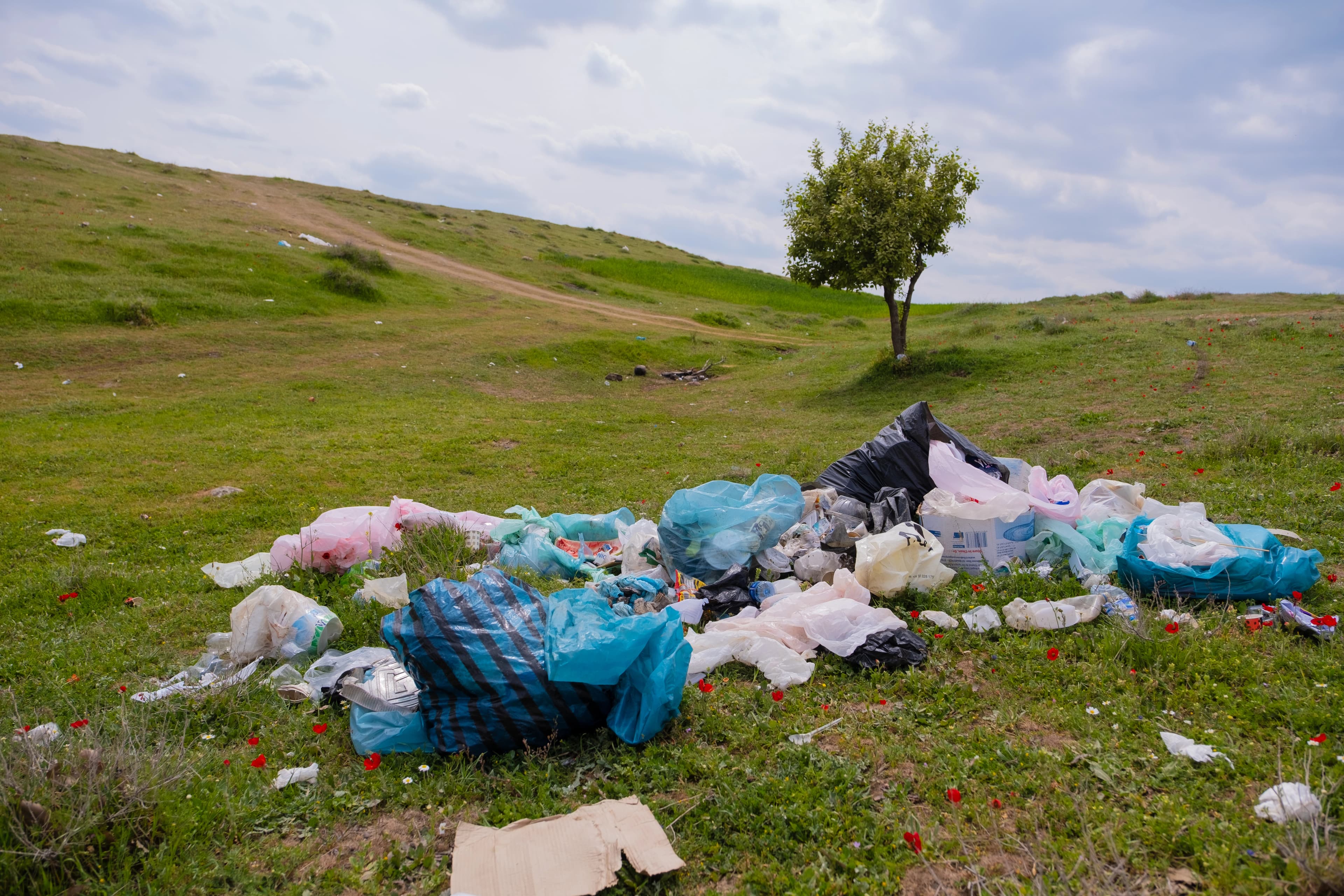 سەندیکای رۆژنامەنووسان و رێکخراوێک بەڵێننامەی میدیایی بۆ پاراستنی ژینگە رادەگەیێنن