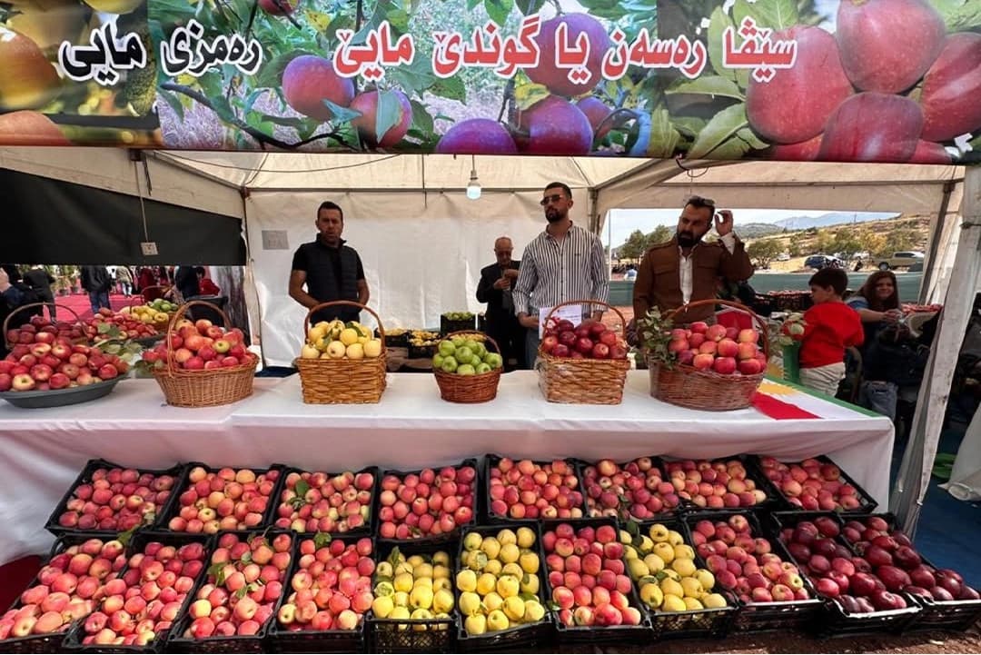 گوندەکانی کوردستان خەریکە چۆل دەبنەوە؛ چۆن ژیانی ئابووری بگەڕێنینەوە بۆ گوندەکان؟