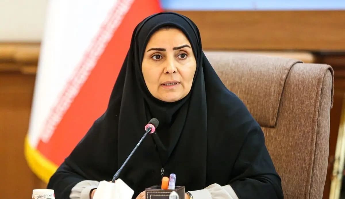 وەزیری رێگەوبانی ئێران: بەمزووانە گەشتە ئاسمانییەکانی نێوان تاران و نەجەف دەستپێدەکەنەوە