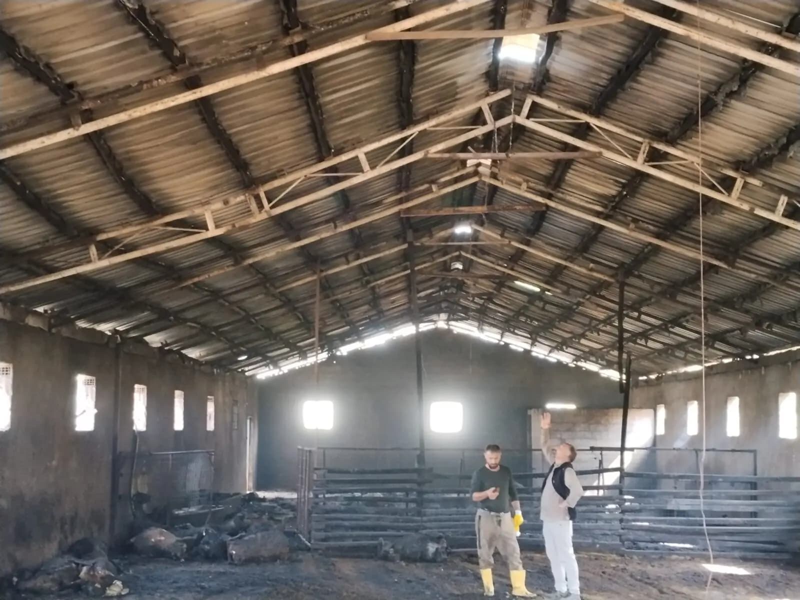 Li Dêrsimê agir bi axurekê ket: 200 bizin mirar bûn