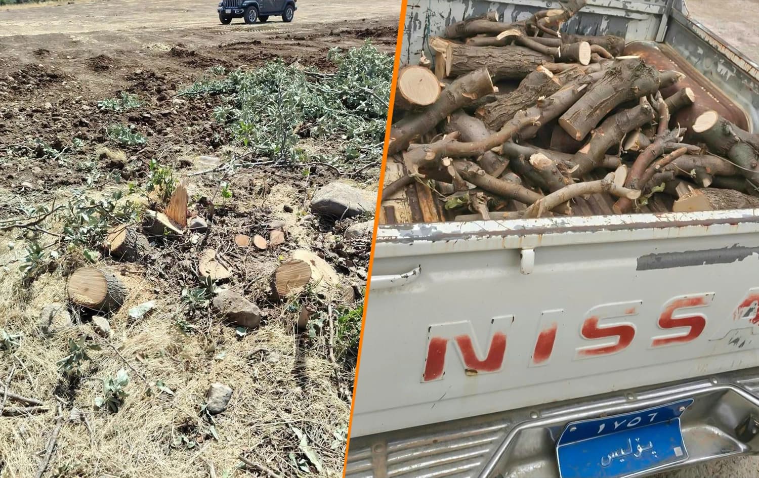 Kurdistan Region tightens enforcement against illegal logging, arrests 18
