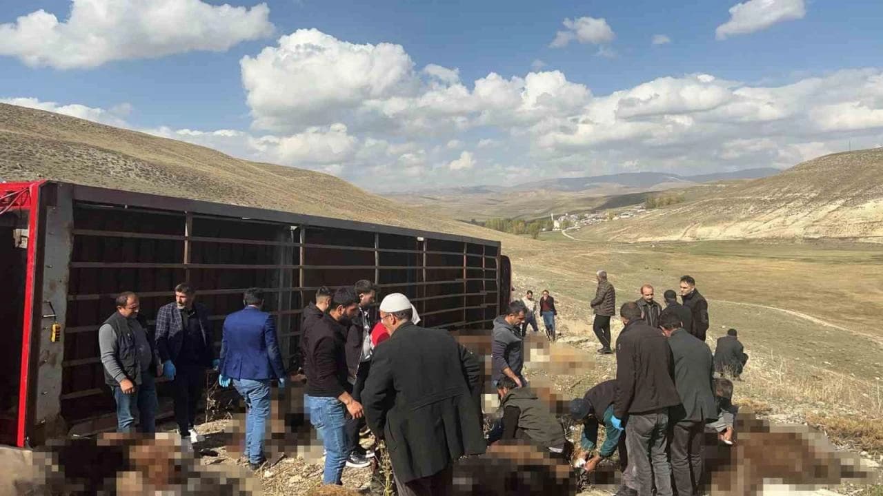 Li Erziromê qeza: 130 serî pez mirar bûn
