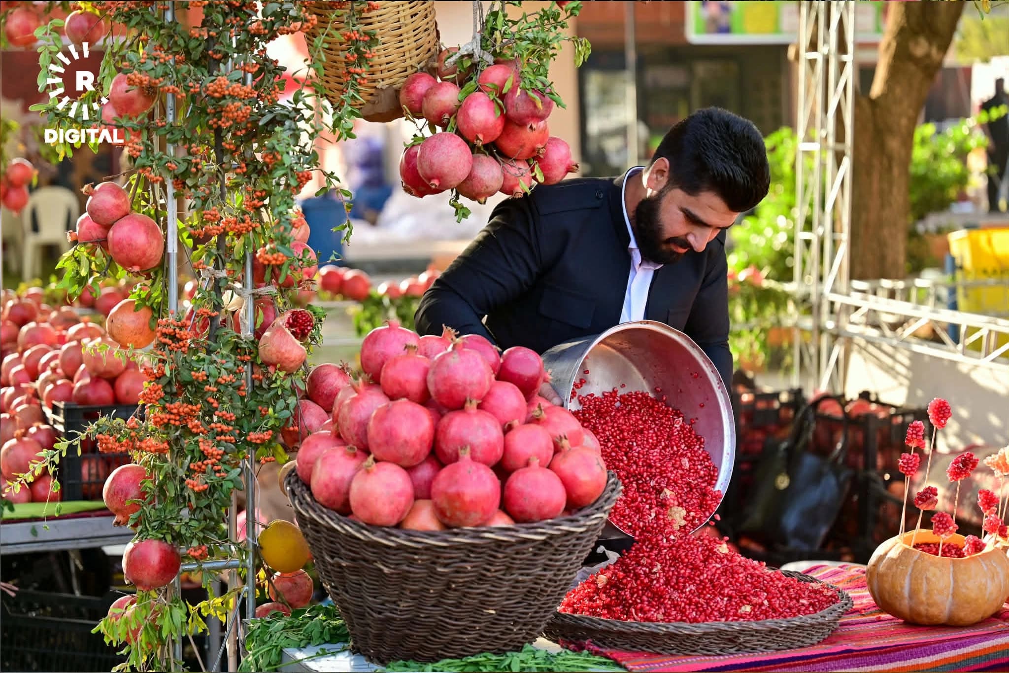 مەرج و رێنماییەکانی فێستیڤاڵی هەنار لە هەڵەبجە: مەنجەڵی فافۆن و لیمۆندزی قەدەخەن