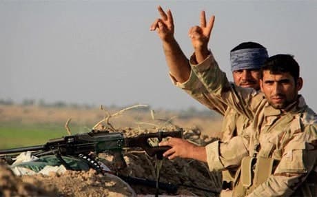 Çekdarên Heşdul Şeibî