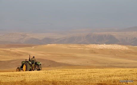 The Kurdistan region imports almost all of its food.