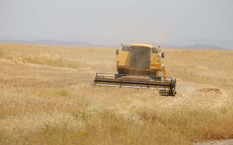 Photo of a combine-harvester in a wheat field near Erbil. By Farzin Hassan/Rudaw