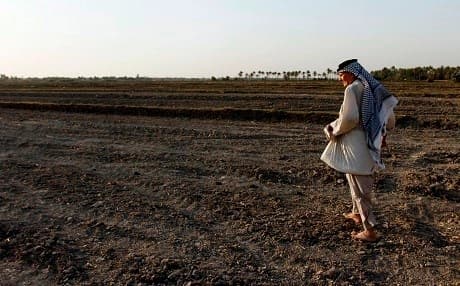 An Iraqi man walks on a dry field in an area affected by drought in the Mishkhab region, central Iraq, some twenty-five kilometres from Najaf. Photo: Haidar Hamdani / AFP