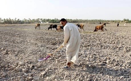 An Iraqi man uses a shovel on a dry field in an area affected by drought in the Mishkhab region of central Iraq, on July 2, 2018. File photo: Haidar Hamdani | AFP