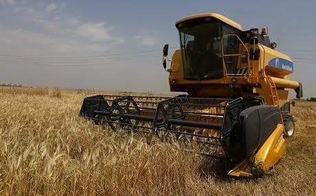 A farmer harvesting his crop in the Kurdistan Region. File photo: Farzin Hassan/Rudaw