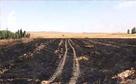 A charred wheat field in the disputed territory of Khanaqin, May 23, 2019. Photo: Rudaw TV