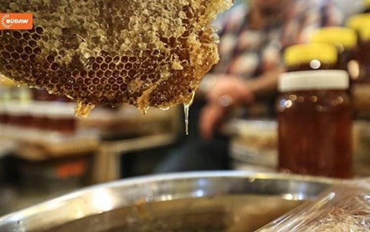 A beehive in Hawraman, Kurdistan Region, Iraq in March 2019. Photo: Rudaw TV
