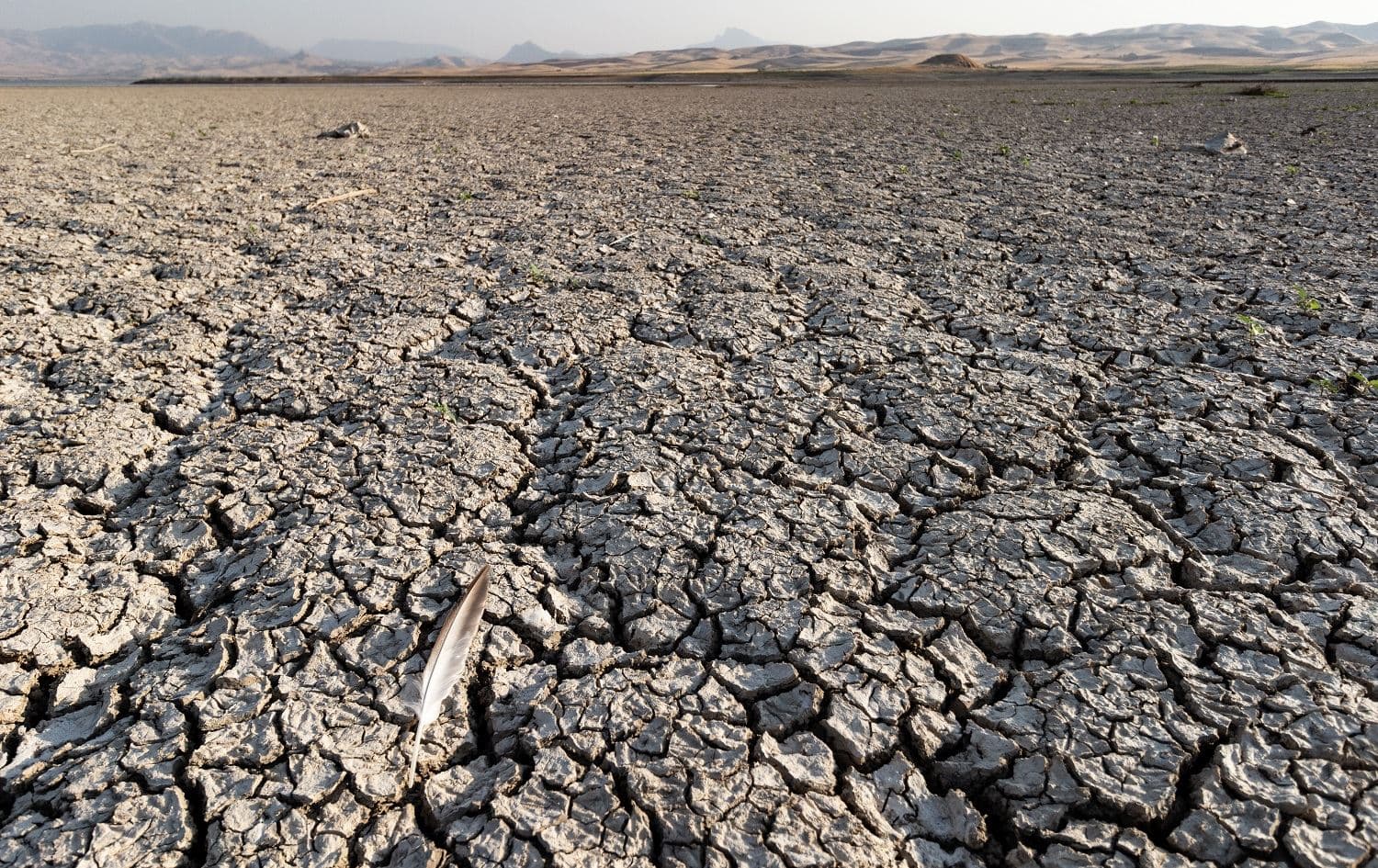 The river bed of the Tanjero River south of Said Sadiq, Kurdistan Region, September 20, 2020. Photo: Hannah Lynch/Rudaw