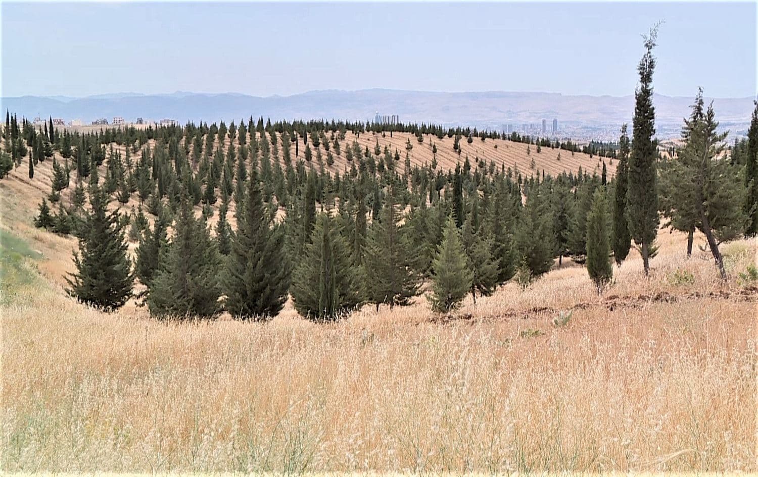 Hawari Shar park in Sulaimani pictured on May 9, 2021. Photo: Rudaw