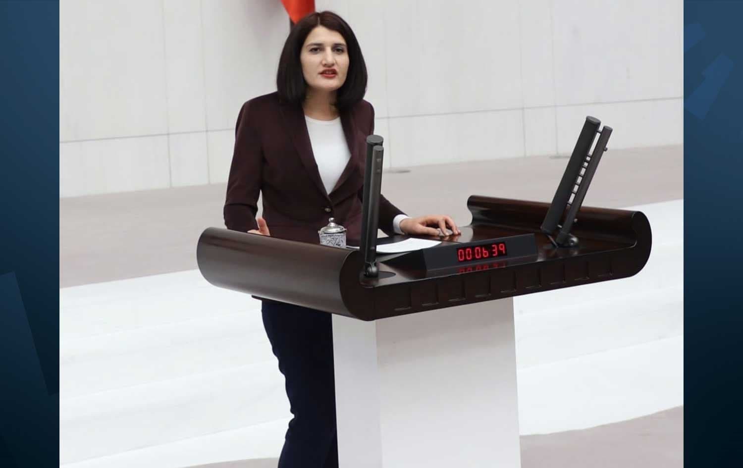 Semra Guzel addresses Turkish parliament. Photo: Semra Guzel/Facebook/file