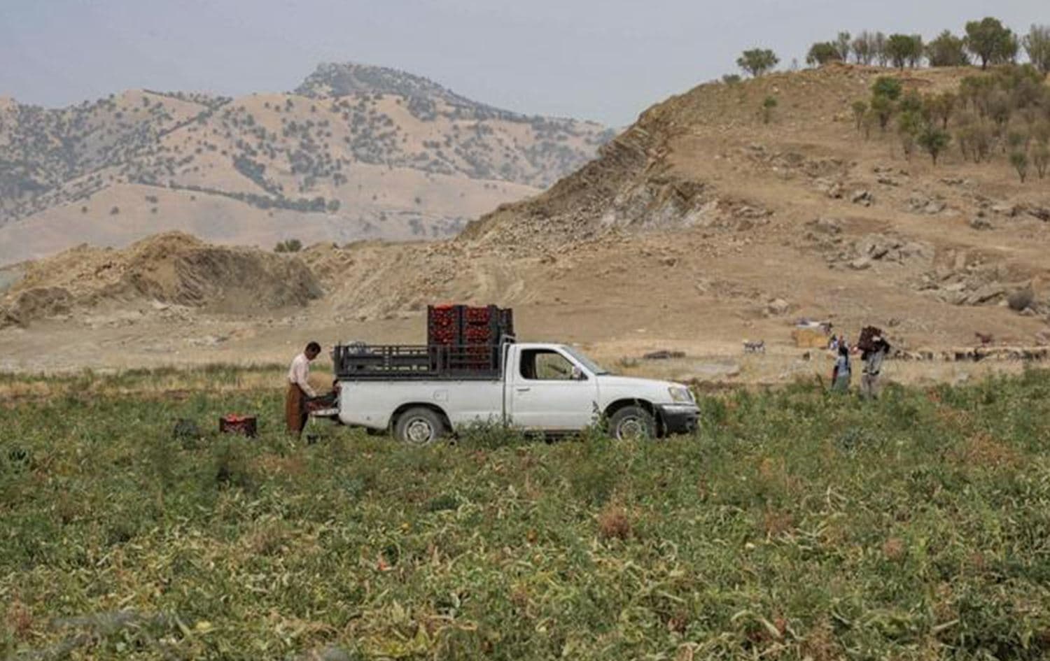 Kurdish men load produce into the back of a pickup truck in Penjwen district, about 96 kilometers north of Sulaimani, on September 22, 2022. Photo: Safin Hamed/AFP
