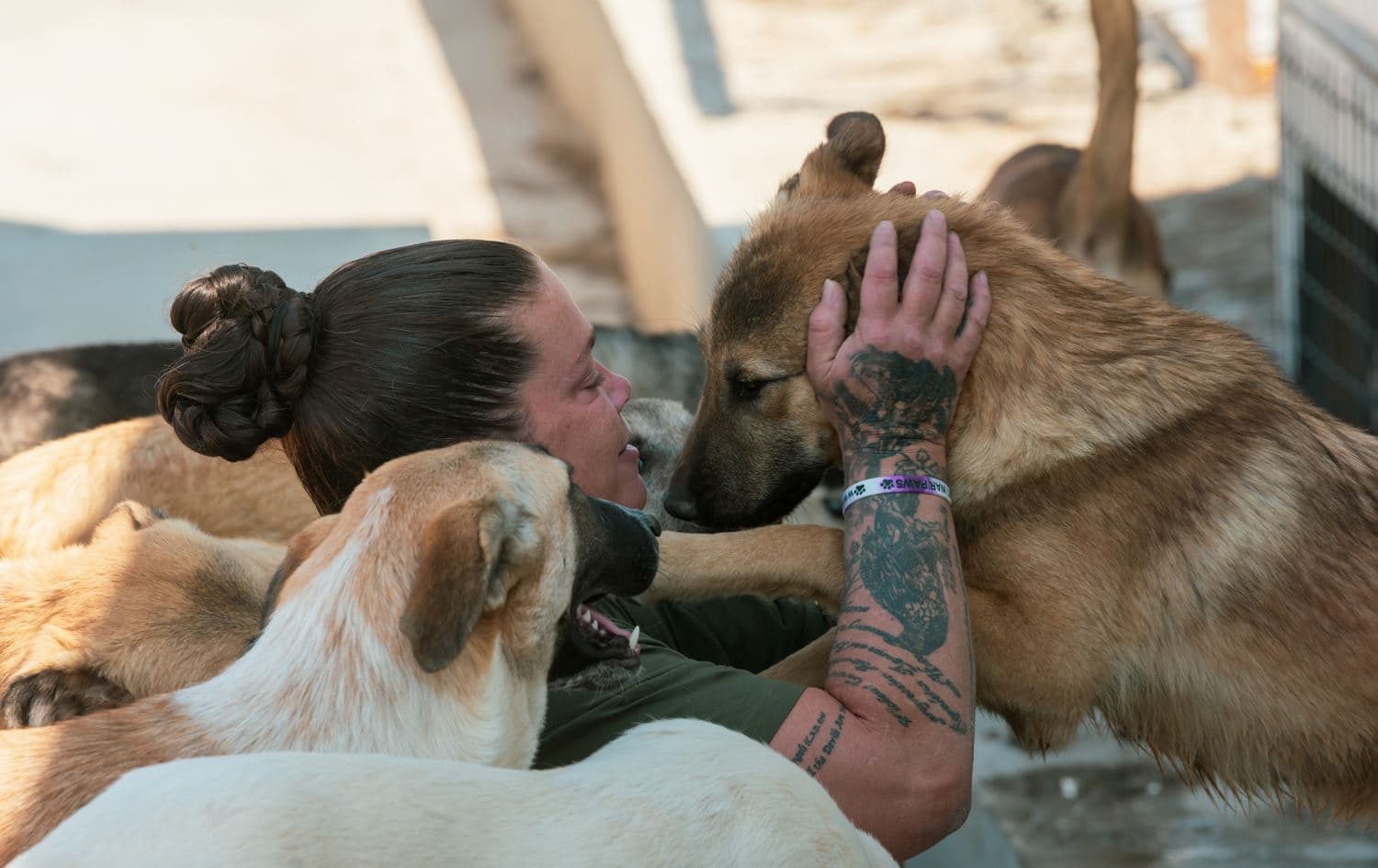 A woman playing with a dog in an Erbil shelter on October 5, 2020. Photo: Bilind T. Abdullah/Rudaw