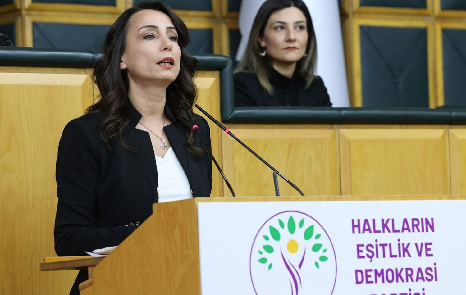 HEDEP Eş Genel Başkanı Tülay Hatimoğulları