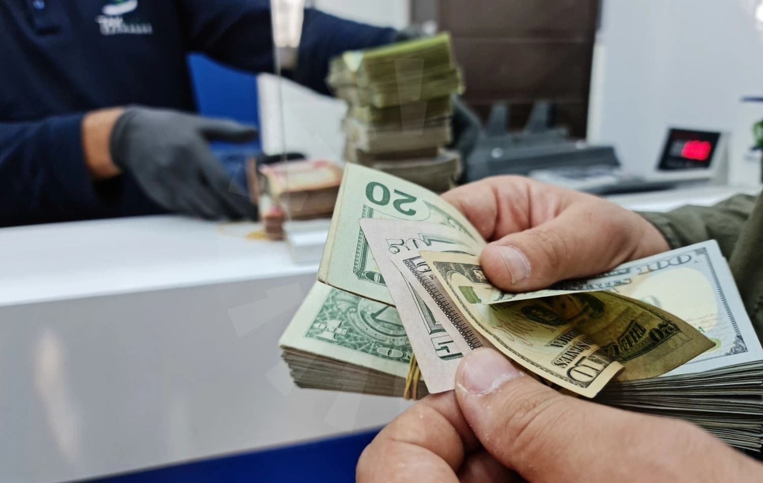 دۆلاری ئەمریکی. وێنە: بڵند تاهیر - رووداو