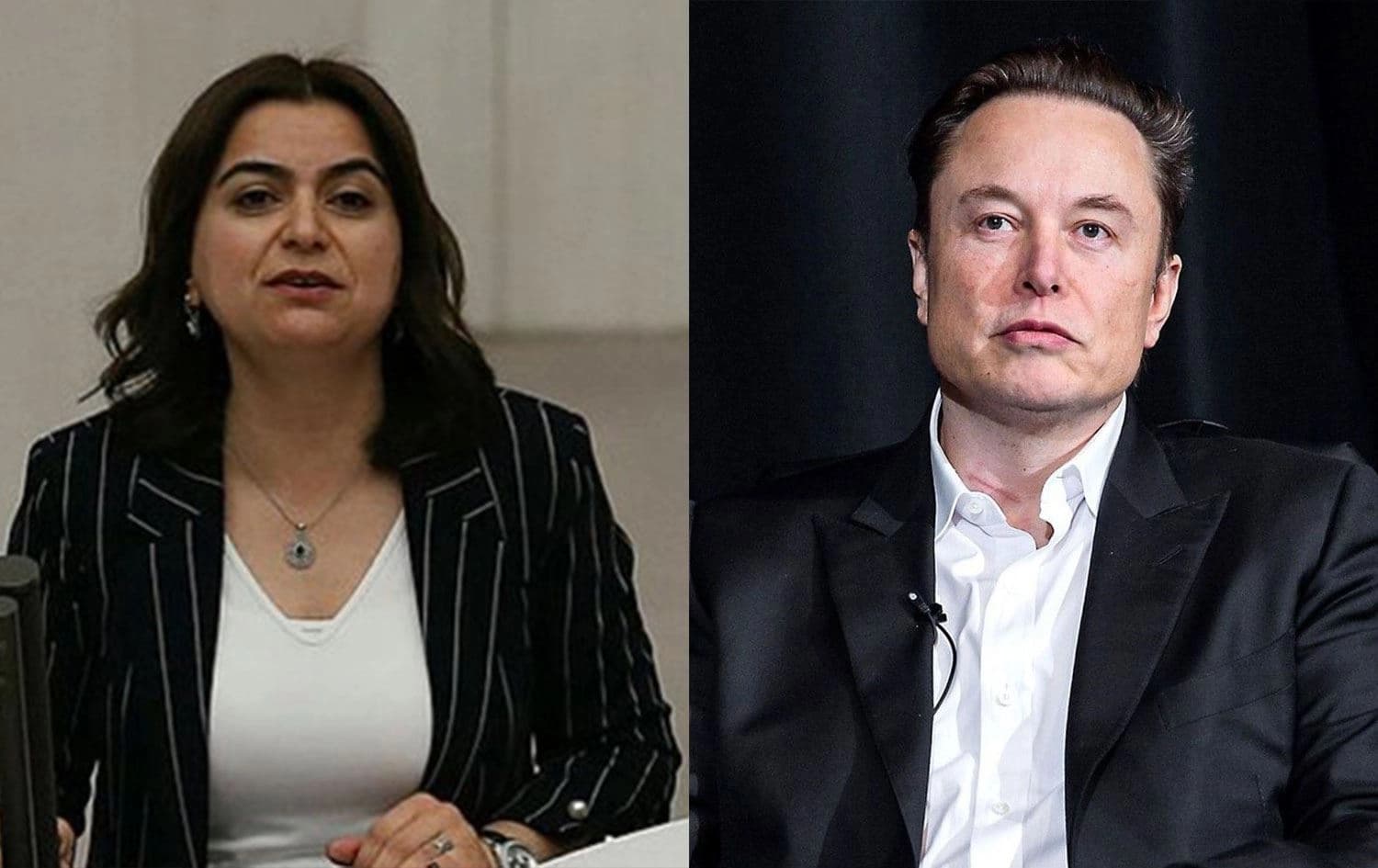 Dem Parti Grup Başkanvekili Gülistan Kılıç Koçyiğit & Elon Musk