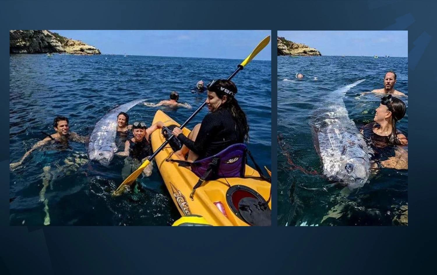 Kıyamet Balığı