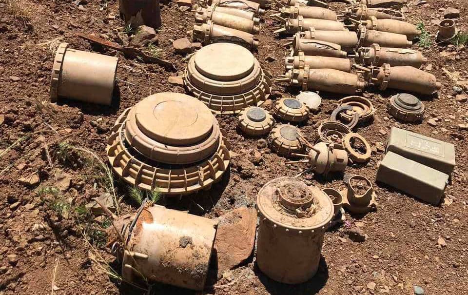 نموونەی هەندێک لە مینانەی لە کوردستان چێندراون.