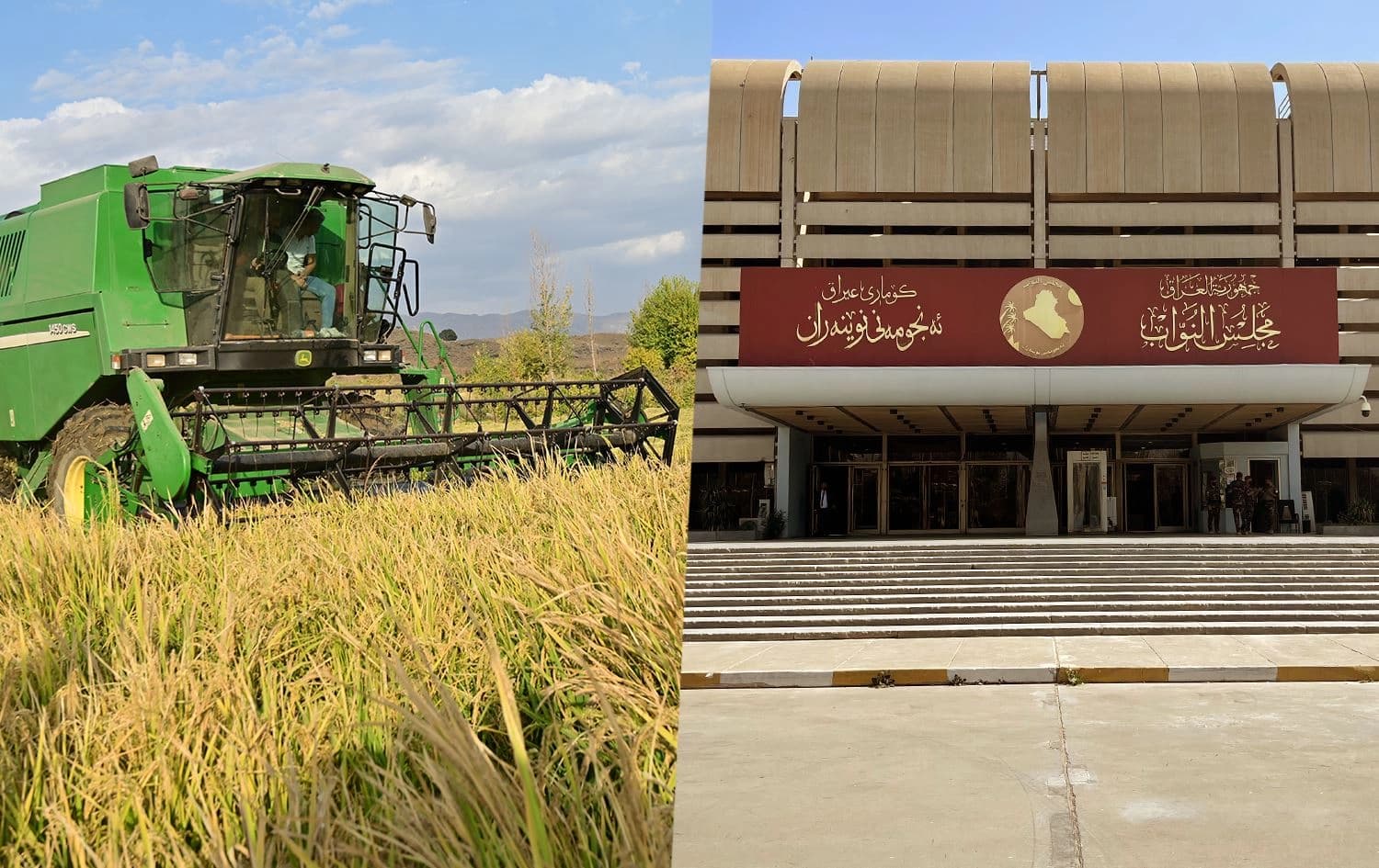 سەرۆکی لیژنەی کشتوکاڵ لە ئەنجوومەنی پارێزگای کەرکووک: جێبەجێکردنی یاساکە شەش مانگ کاتی دەوێت.