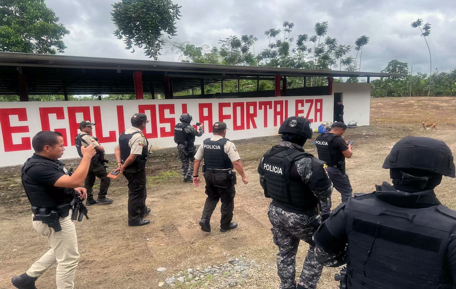 Fotoğraf: AFP