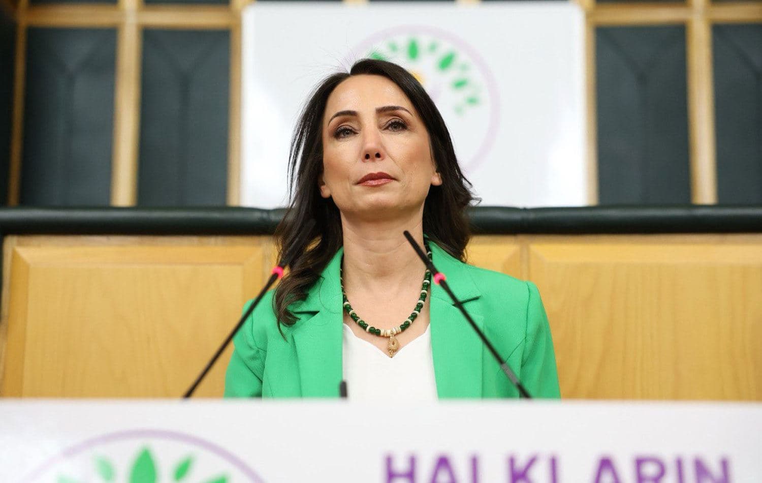 DEM Parti Eş Genel Başkanı Tülay Hatimoğulları / Sosyal medya