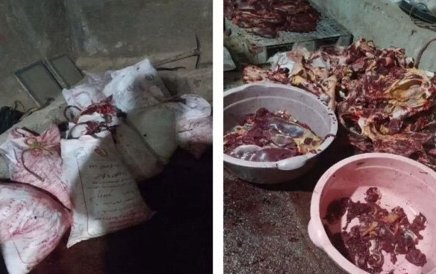 گۆشتە دەستبەسەرداگیراوەکە