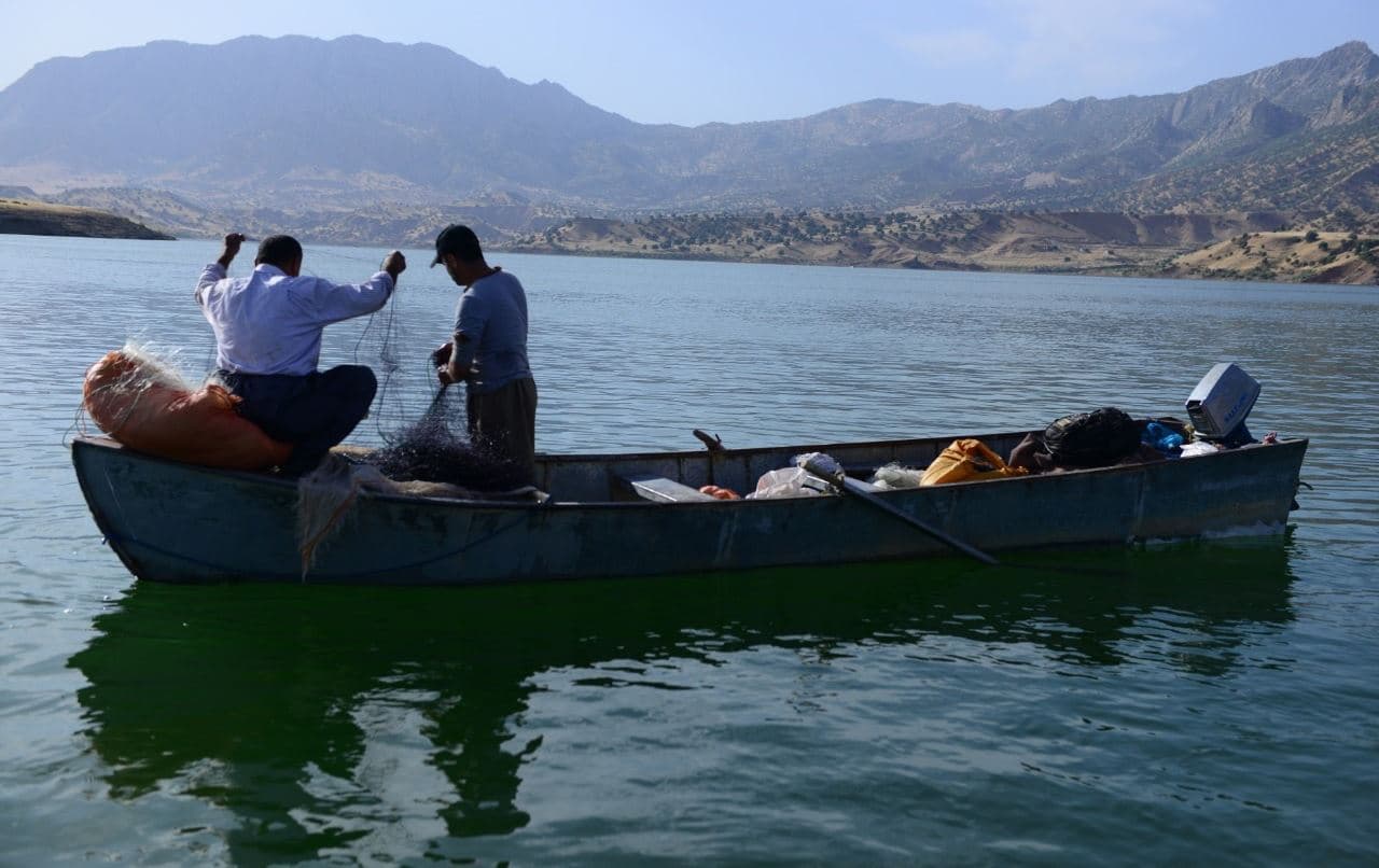 دوو راوچیی ماسی. وێنە: AA