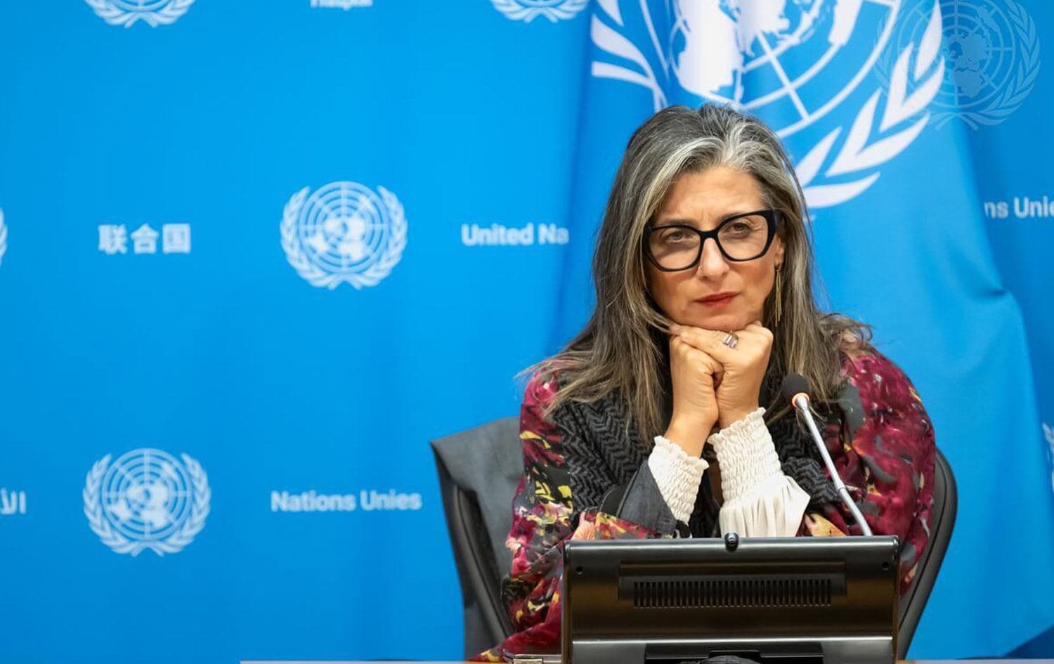 فرانچیسکا ئەلبانیز، پسپۆڕی بواری دۆسیەی فەلەستین لە نەتەوە یەکگرتووەکان