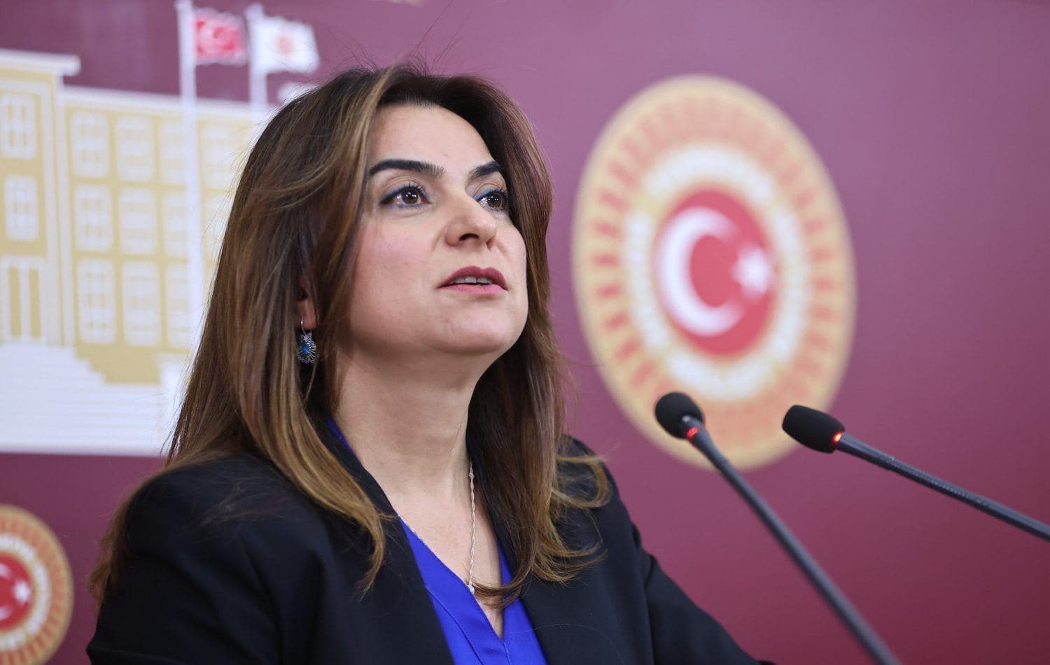 Gulistan Kiliç Koçyîgît / Wêne: DEM Partî-Arşîv