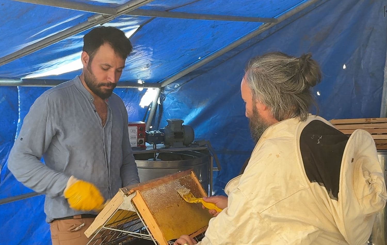 Arı yetiştiricileri için bal sağım sezonu başladı. / Foto: Rûdaw