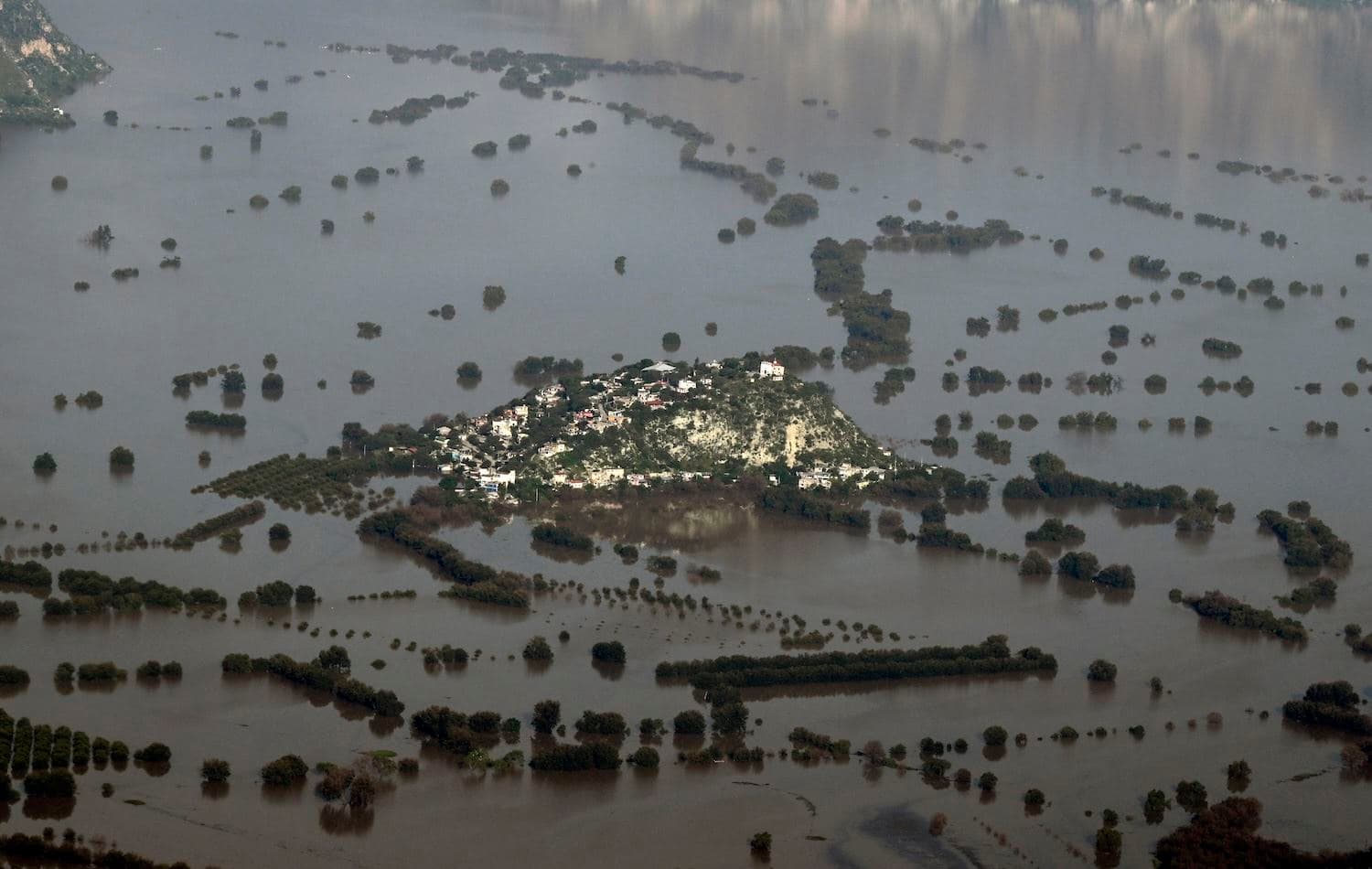 Fotoğraf: AFP