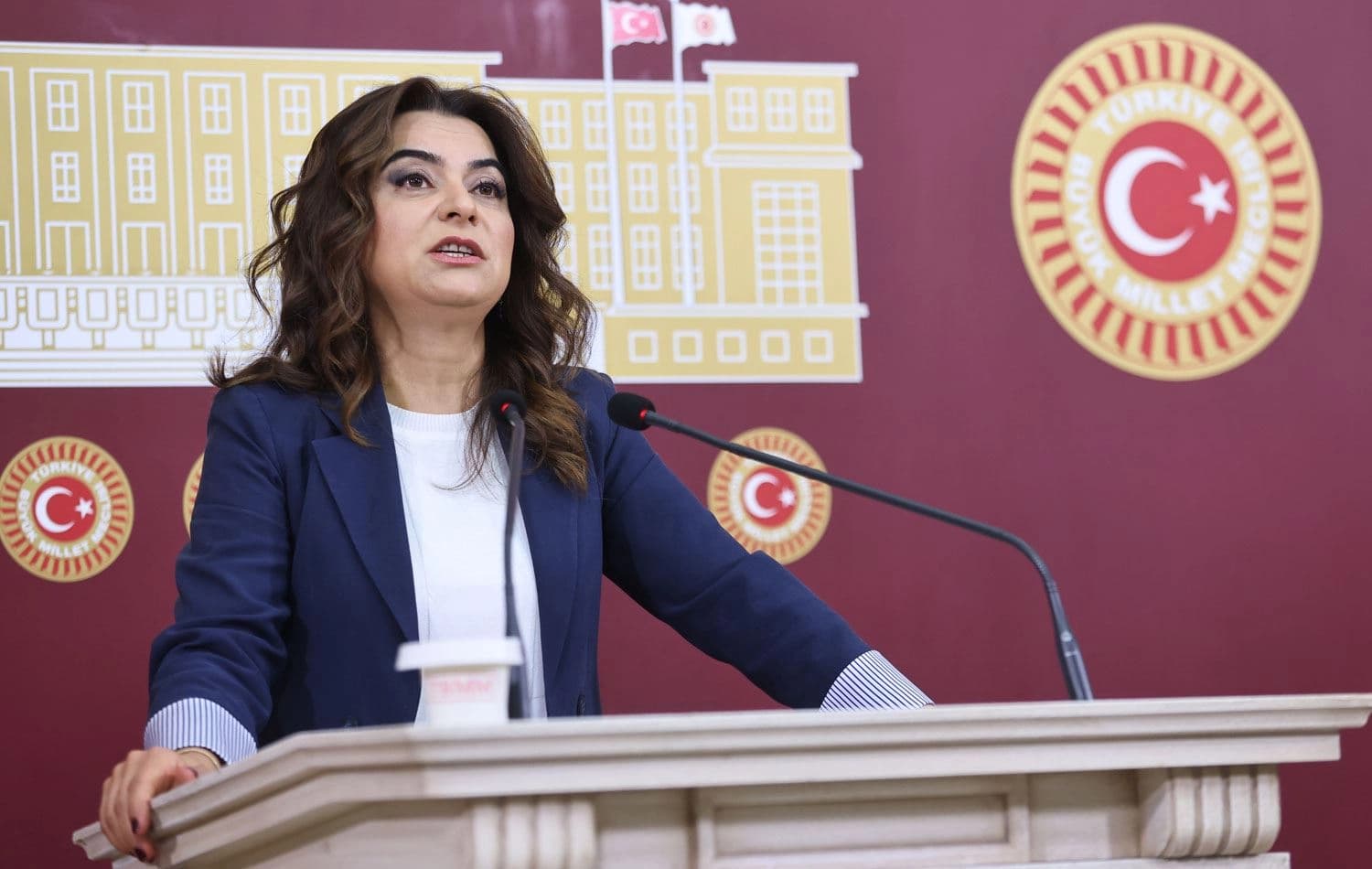 DEM Parti Grup Başkanvekili Gülistan Kılıç Koçyiğit basın toplantısı düzenledi.