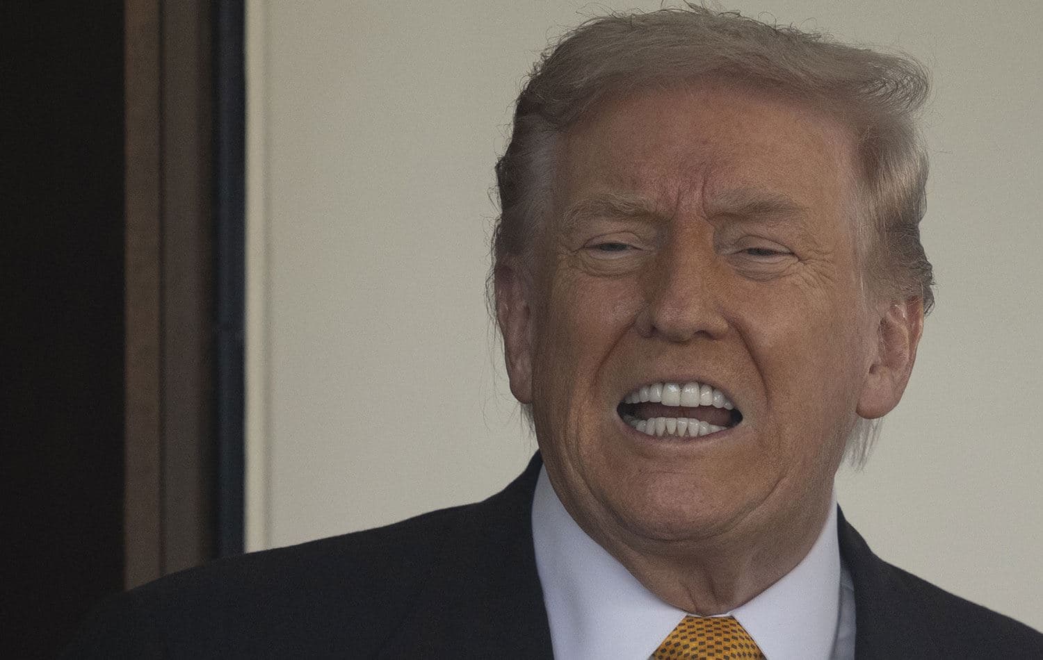 ABD Başkanı Donald Trump / Foto: AA