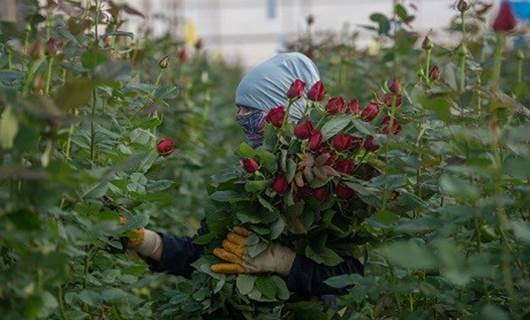 Urfa’da ‘Sevgililer Günü’ heyecanı