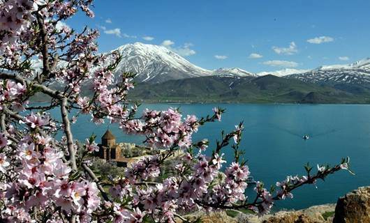 Akdamar Adası çiçekleriyle büyülüyor