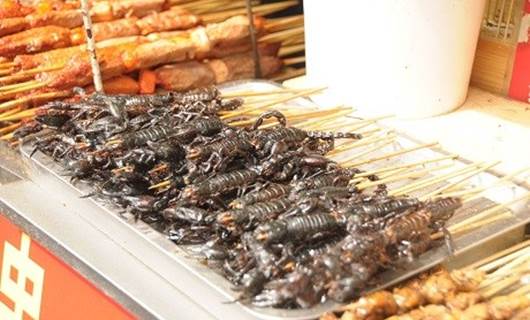 Turistlerin yeni gözdesi ‘böcek kebap!’
