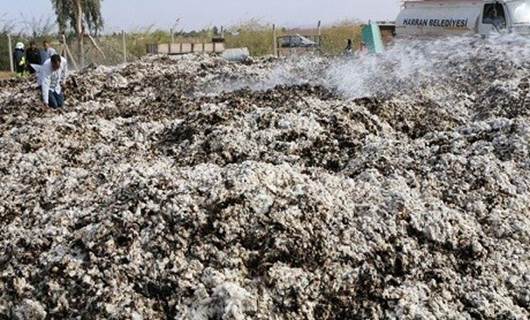 Urfa'da 105 ton pamuk yandı