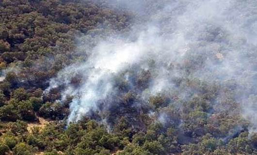 Rojhılat'ta yangın: 4 çevreci hayatını kaybetti