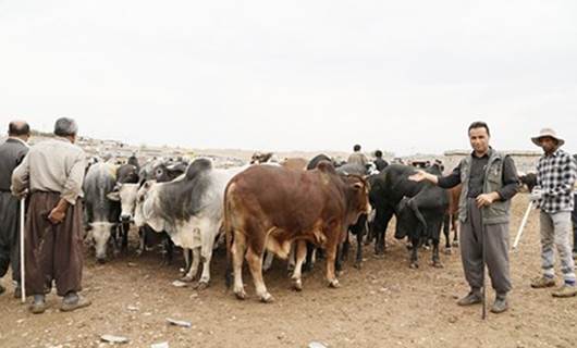 بێكاری و قەیرانی دارایی، ئاژەڵداری دەبووژێنێتەوە